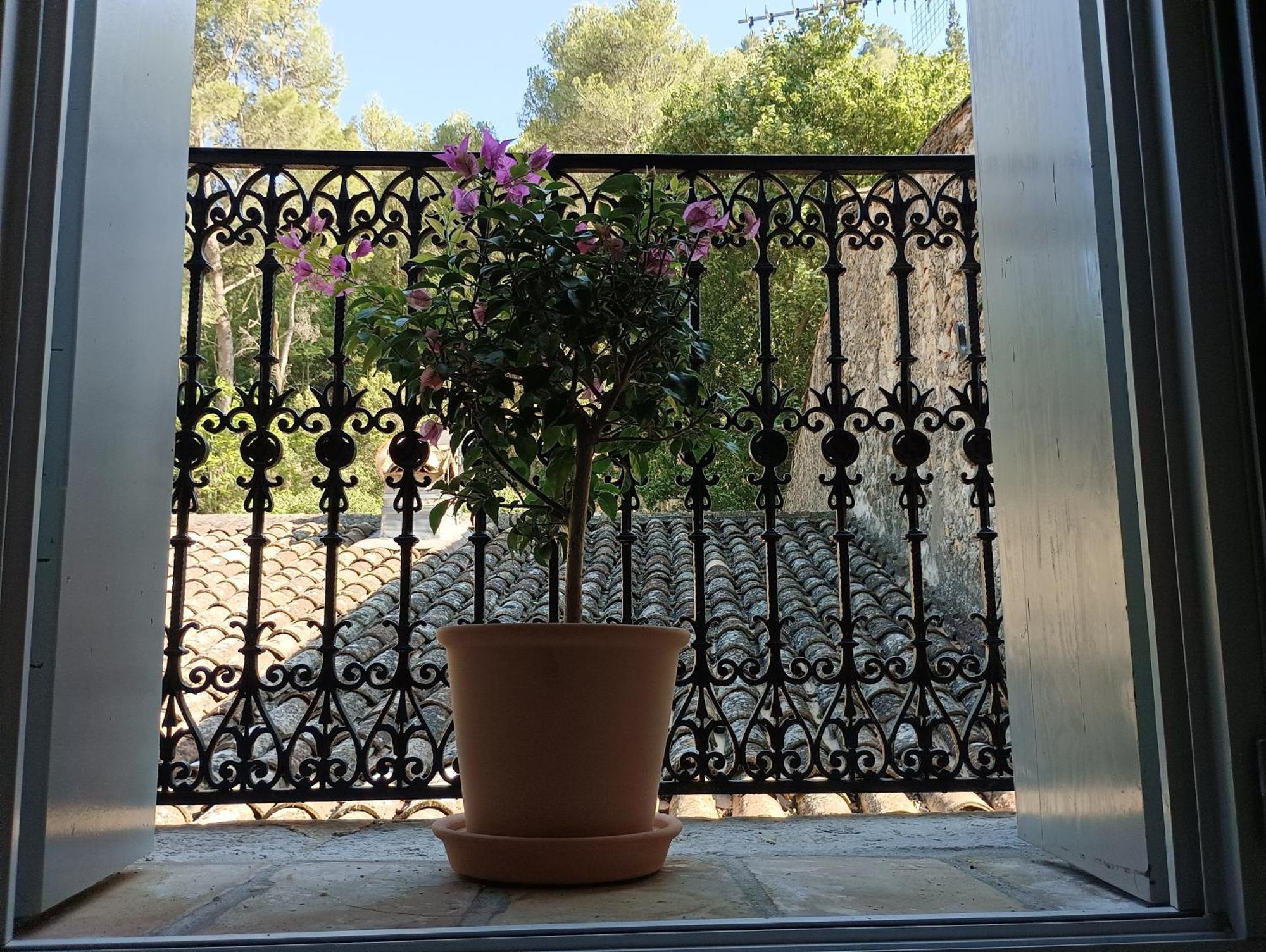 La Maison De La Traverse Saint-Guilhem-le-Desert Exteriör bild