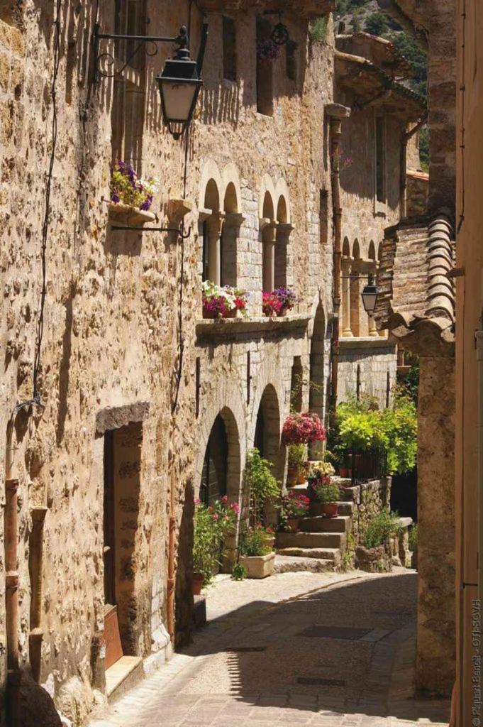 La Maison De La Traverse Saint-Guilhem-le-Desert Exteriör bild