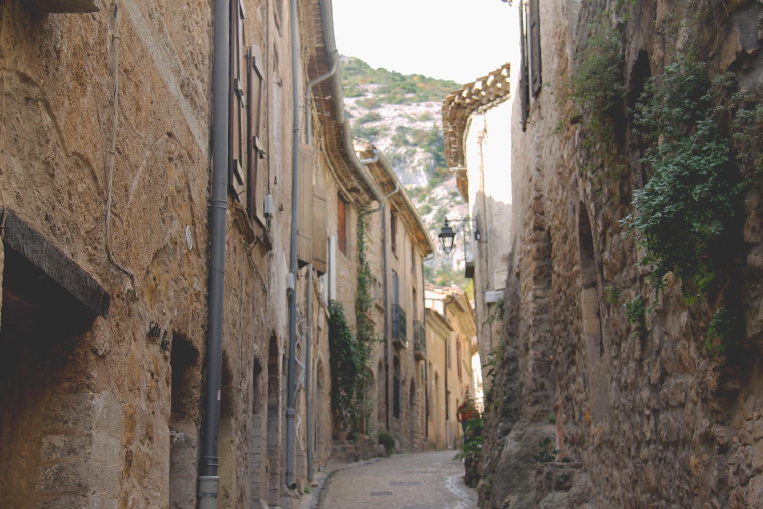 La Maison De La Traverse Saint-Guilhem-le-Desert Exteriör bild