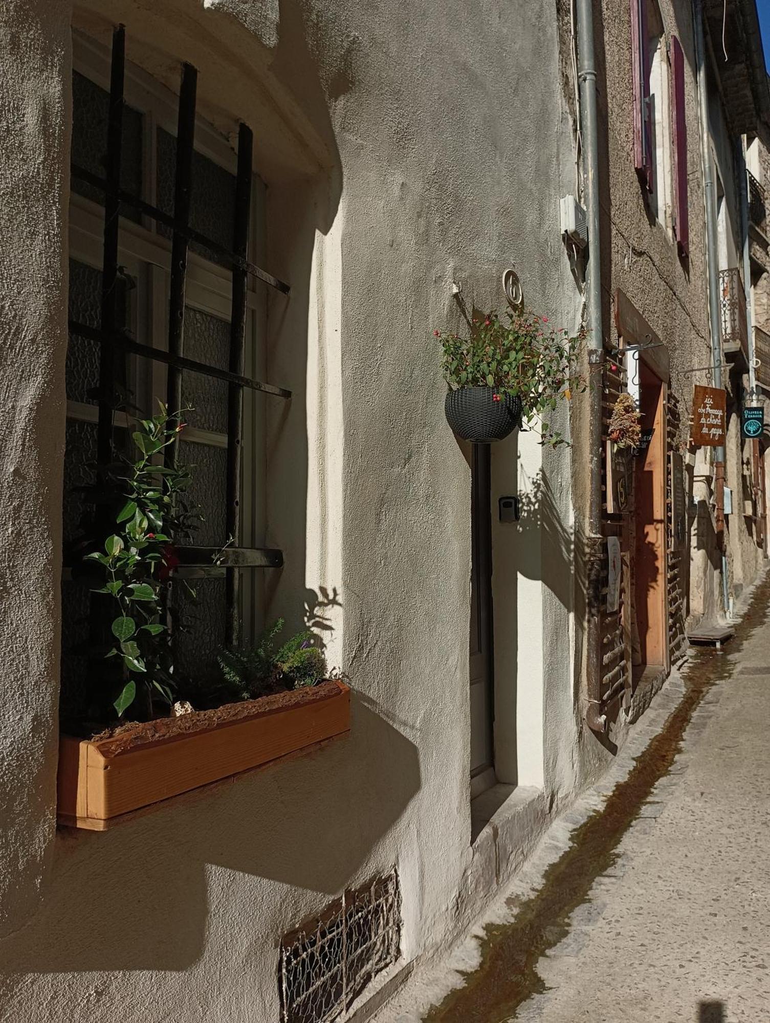 La Maison De La Traverse Saint-Guilhem-le-Desert Exteriör bild